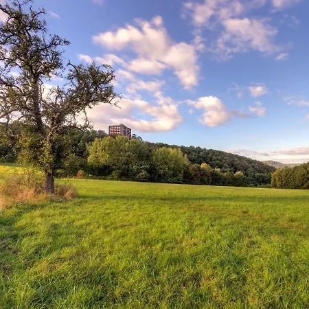 B807 By Interhome Daire *